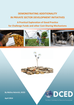 Demonstrating Additionality in Private Sector Development Initiatives