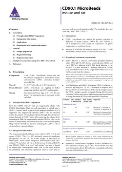 CD90.1 MicroBeads