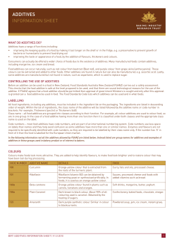 BIRT Additives Info Sheet[1]
