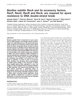 Bacillus subtilis RecA and its accessory factors, RecF, RecO, RecR