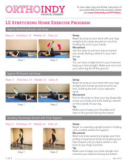 LE Stretching Home Exercise Program