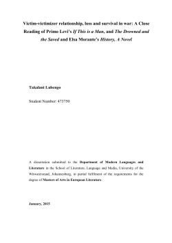 MA Research Report_Takalani Lubengo