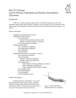 Biol 212 Zoology Lab 08