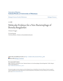 Molecular Evidence for a New Bacteriophage of Borrelia Burgdorferi