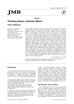 Review: Thinking About a Nuclear Matrix