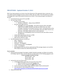 PMI OPTIONS - Equity Resources