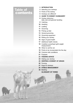 A Guide to Donkey Care - American Mule Association