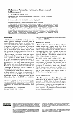 Mechanism of Action of the Herbicide 4, 6-Dinitro-o