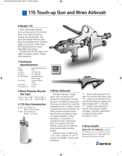 115 Touch-up Gun and Wren Airbrush