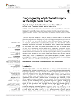 Biogeography of photoautotrophs in the high polar biome