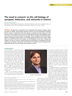 The need to connect: on the cell biology of synapses, behaviors, and
