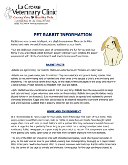pet rabbit information - La Crosse Veterinary Clinic