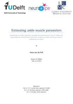 Estimating ankle muscle parameters