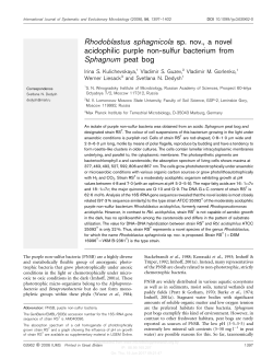 Rhodoblastus sphagnicola sp. nov., a novel acidophilic purple non