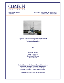 Options for Processing Shrimp Landed In South Carolina