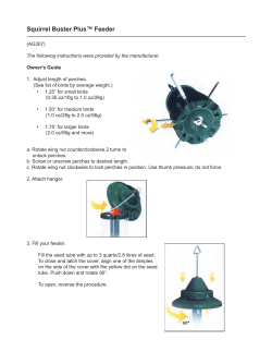 Squirrel Buster Plus&trade; Feeder