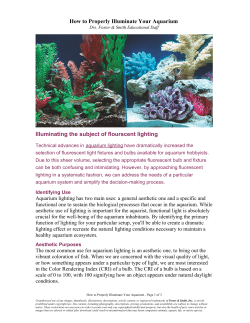 How to Properly Illuminate Your Aquarium