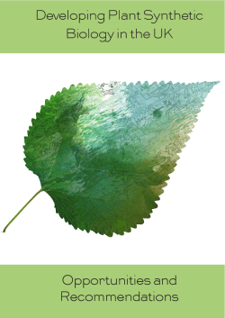 Developing Plant Synthetic Biology in the UK