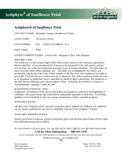 Actiphyte&reg; of Sunflower Petal