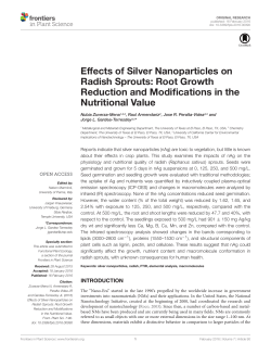 Effects of Silver Nanoparticles on Radish Sprouts: Root Growth
