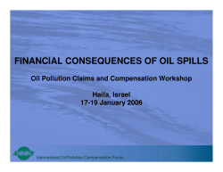 FINANCIAL CONSEQUENCES OF OIL SPILLS