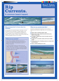 Rip Currents