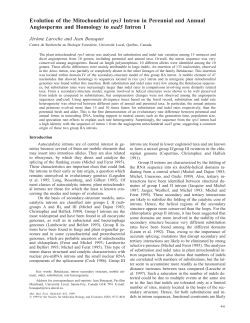 Evolution of the mitochondrial rps3 intron in perennial and annual