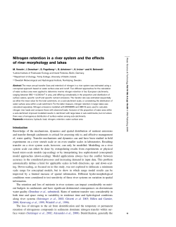 Nitrogen retention in a river system and the effects of river