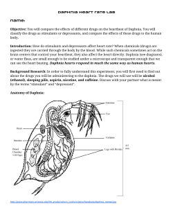 daphnia heart rate lab name: Objective: ​You will compare the