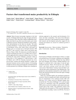 Factors that transformed maize productivity in - CGSpace