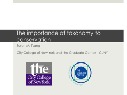 The importance of taxonomy to conservation
