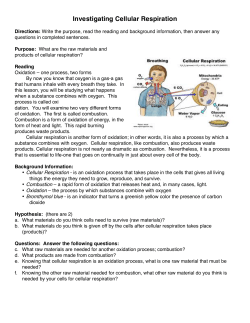 5. Investigating Cellular Respiration