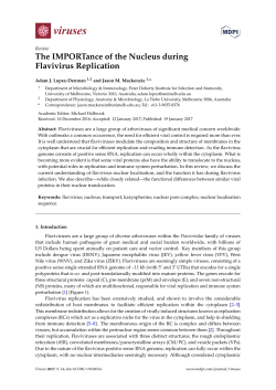 The IMPORTance of the Nucleus during Flavivirus Replication