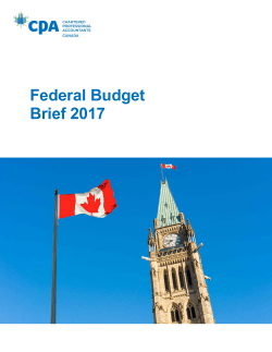 Federal Budget Brief 2017