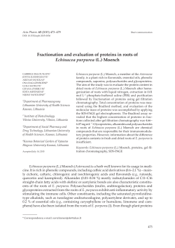 Fractionation and evaluation of proteins in roots of Echinacea