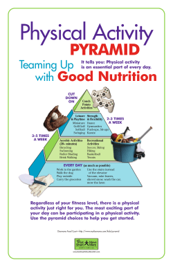 Physical Activity - Wellness Proposals