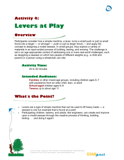 Activity 4: Levers at Play