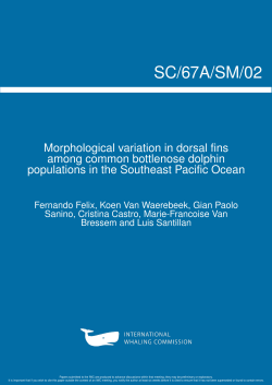 Untitled - Repositorio de la Universidad San Ignacio de Loyola