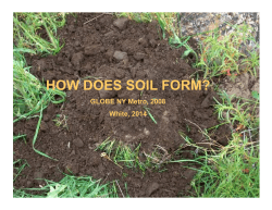 HOW DOES SOIL FORM?