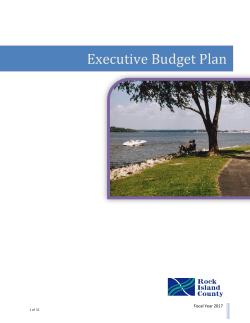 Executive Budget Plan