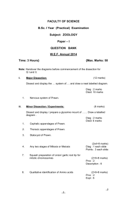 FACULTY OF SCIENCE B.Sc. I Year (Practical) Examination Subject