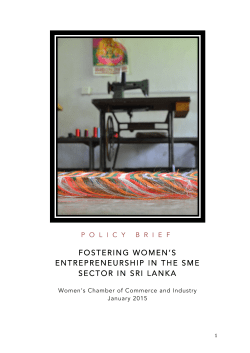 Fostering Women`s Entrepreneurship in the SME Sector