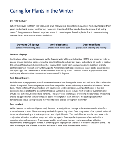 Caring for Plants in the Winter