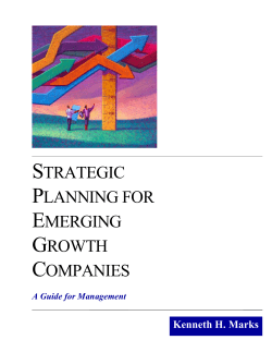 strategic planning for emerging growth companies