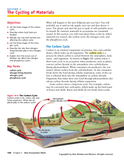 SECTION 2 The Cycling Of Materials
