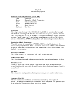 Chapter 5 Integumentary System Functions of the Integumentary