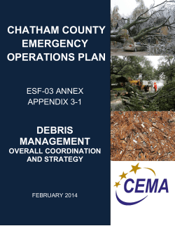 Debris Management and Coordination Strategy
