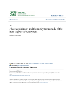 Phase equilibrium and thermodynamic study of the iron