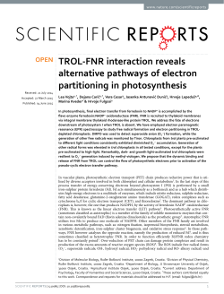 TROL-FNR interaction reveals alternative pathways of electron