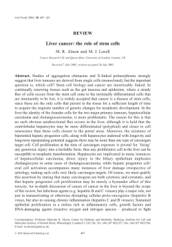 Liver cancer: the role of stem cells